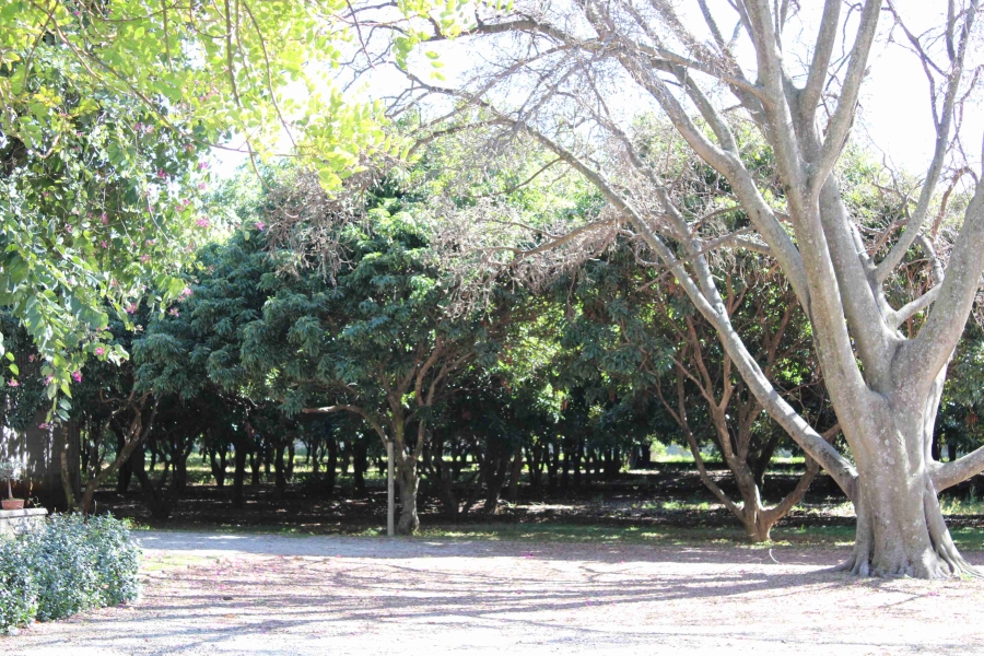 Commercial Property for Sale in Waterkloof North West